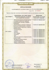 Сертификат EAC RU C-RU.HO03.B.00309 2стр